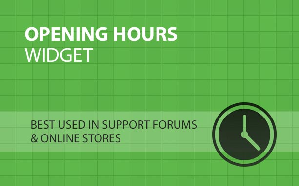 Opening Hours Widget